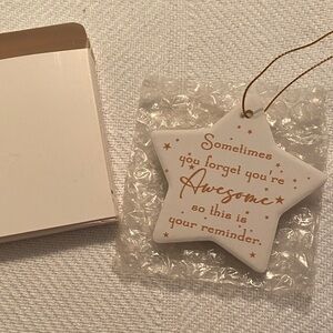 🦩White Star Ornament with Gold Accents🦩